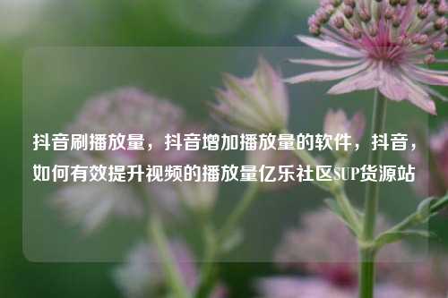抖音刷播放量，抖音增加播放量的软件	，抖音，如何有效提升视频的播放量亿乐社区SUP货源站  第1张